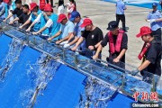 周易占卜2025年全国水生生物同步增殖放流活动在福建举行