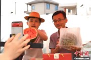 周易占卜（乡村行·看振兴）江西安福“小西瓜”撬动乡村共富“大支点”