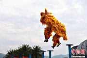 周易占卜（文化中国行）壮乡狮舞闯南洋：脚踏“云桩” 饮誉海内外