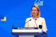 周易占卜受虐？欧盟外长：美国是“严厉的爱”，总比没爱强